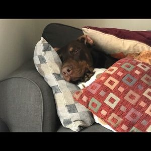 Meet your Posher, Rebecca